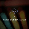 jvspictures > Stills + Motion + Audio: JVS

Producer / Editor: Anne Farrar

Stills, Motion & Audio Capture: Canon 5D Mark II